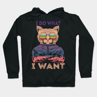 I Do What I Want Hoodie